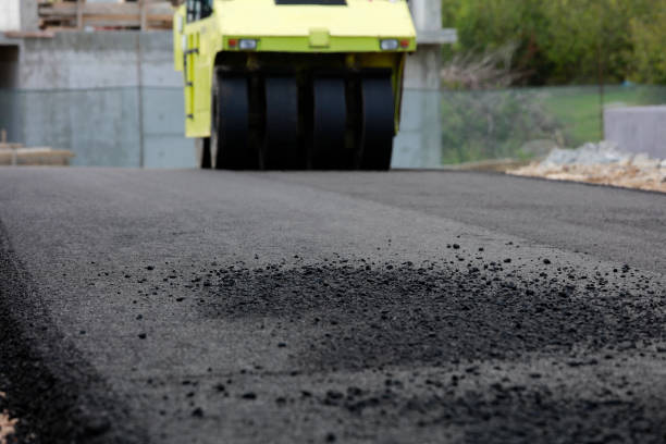 Best Local Driveway Pavers  in St Francis, WI